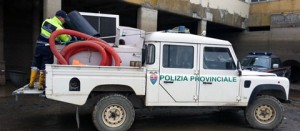 Il salvataggio dei pesci