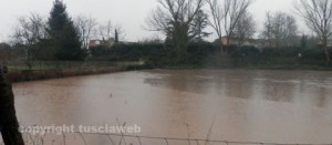Il torrente esondato invade il prato adiacente in prossimità delle villette