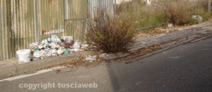 I rifiuti nella zona tra via Galvani e il tribunale di Viterbo