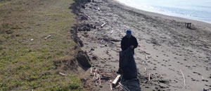 Gli effetti dell'erosione sulla spiaggia delle Saline