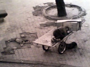 Un'immagine della mostra 