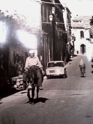 Un'immagine della mostra 