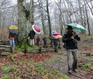 La manifestazione alla faggeta