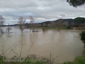Tevere - Borghetto- La piena a Ponte Felice - Foto Stefano Pandimiglio