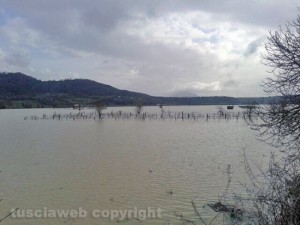Tevere - Borghetto - Zona Frangellini
