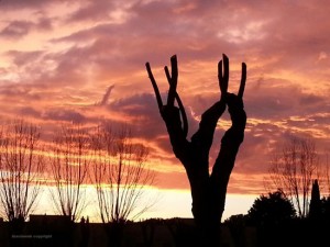 Tramonto di fuoco a Viterbo Alessandro Risignoli