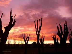 Tramonto di fuoco a Viterbo Alessandro Risignoli
