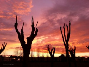 Tramonto di fuoco a Viterbo Alessandro Risignoli