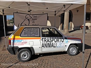 La pandambulanza 