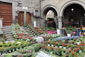 San Pellegrino in fiorei 