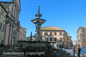 IMG_8436