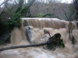 Il fiume Treja in piena