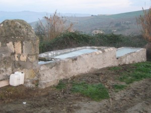 Il fontanile dopo i lavori