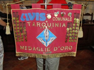 Avis di Tarquinia 