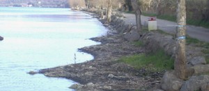 Marta - La spiaggia che sparisce
