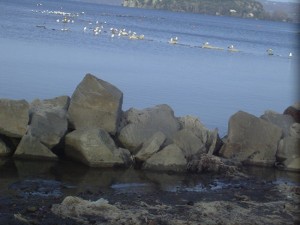 Il lungolago di Marta