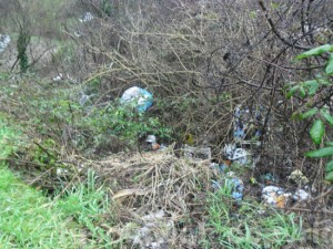 La discarica "alternativa"