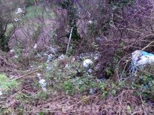 La discarica "alternativa"