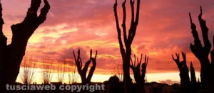 Tramonto di fuoco a Viterbo Alessandro Risignoli