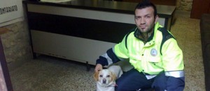 Un volontario con uno dei cani recuperati