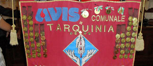Avis di Tarquinia