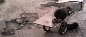 Un'immagine della mostra