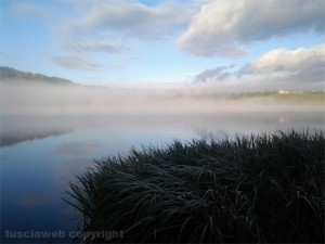 Il monte che si riflette sul lago di Mezzano e si fonde con la nebbia