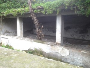 Il lavatoio a via Signoreli
