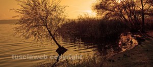 Un tramonto