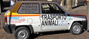 La pandambulanza