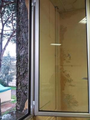L'interno dell'Itc Besta