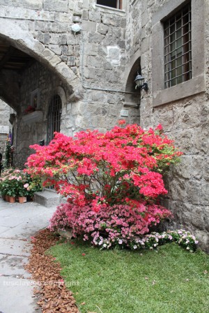 San Pellegrino in fiore - Stefania Bastoni