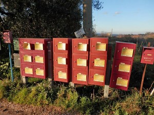 Le immagini dei rifiuti scattate dal comitato Svegliati Viterbo 