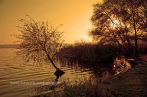 Un tramonto 