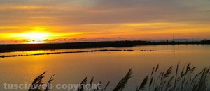 Tarquinia - Tramonto alle Saline