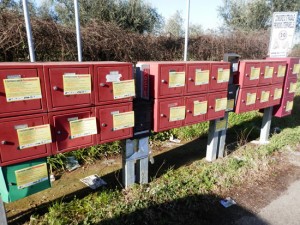 Al via la campagna informativa del Comitato Svegliati Viterbo 