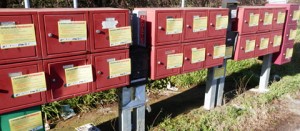 Al via la campagna informativa del Comitato Svegliati Viterbo