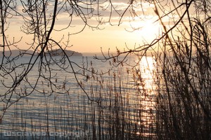 Il lago di Bolsena visto da Montefiascone