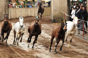 Le corse a vuoto a Ronciglione