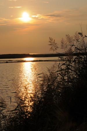Il tramonto alle Saline - Vincenzo Bonanni