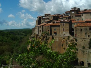 Farnese 