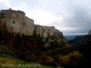 Farnese 