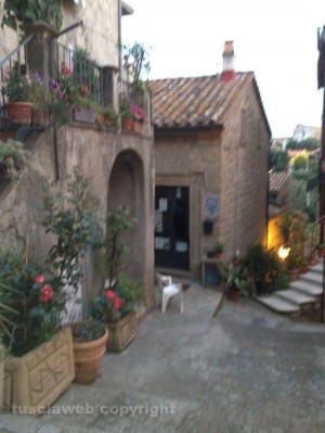 Farnese in fiore