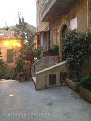 Farnese in fiore