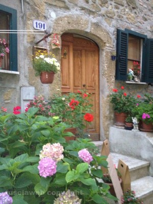 Farnese in fiore