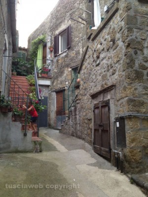 Farnese in fiore