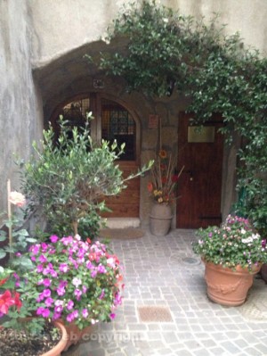 Farnese in fiore