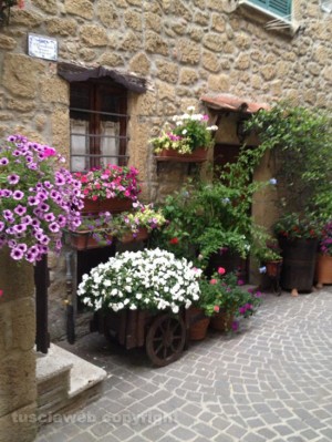 Farnese in fiore