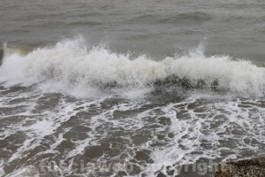 Tarquinia - Il mare di Porto Clementino