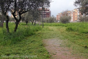 I vialetti del parco liberati dall'erba
